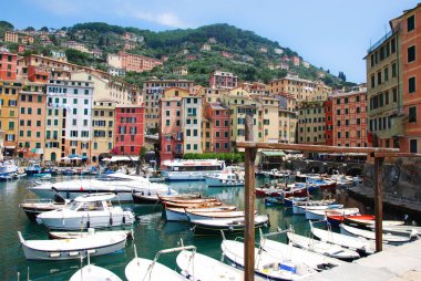 Camogli Harbor, Genova, Liguria, İtalya.