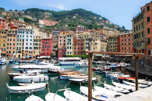 Haven Van Camogli Genova Liguria Italië — Stockfoto