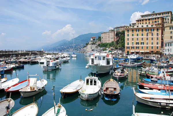 Port Camogli Gênes Ligurie Italie Juin 2016 — Photo