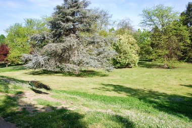 Faenza, Ravenna, Emilia Romagna, İtalya, 23 Nisan 2018 Park'ta Bucci.