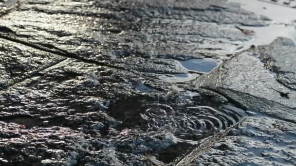 Gotas Agua Cayendo Sobre Pavimento Piedra — Vídeos de Stock