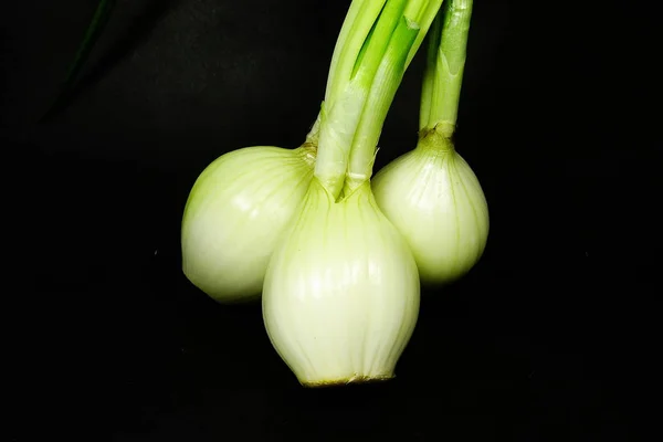 Closeup spring onion — Stock Photo, Image