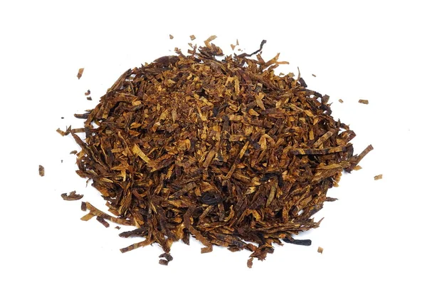 Dried Pipe Tobacco Nicotiana — Stock Photo, Image