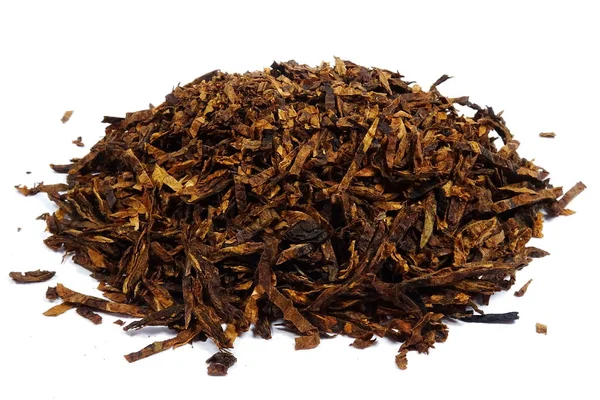 Tytoń Fajkowy Suszone Nicotiana — Zdjęcie stockowe