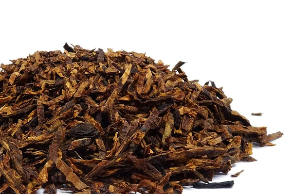 Tabaco Pipa Seca Nicotiana — Foto de Stock