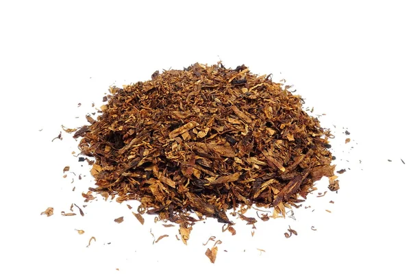 Sušené Dýmkový Tabák Nicotiana — Stock fotografie