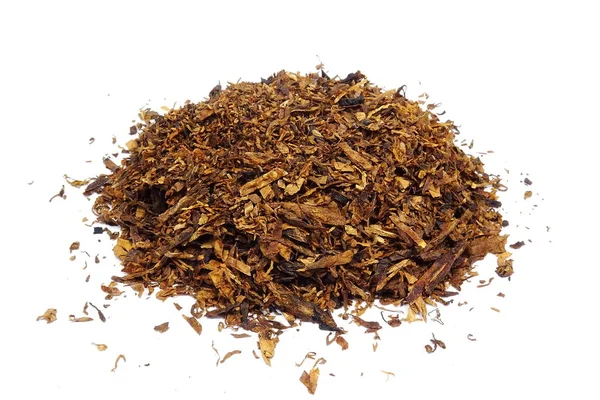 Szárított Pipe Dohány Nicotiana — Stock Fotó