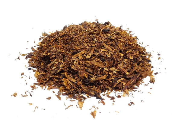 Tabacco Pipa Essiccato Nicotiana — Foto Stock