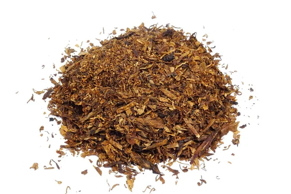 Tabaco Pipa Seca Nicotiana — Foto de Stock