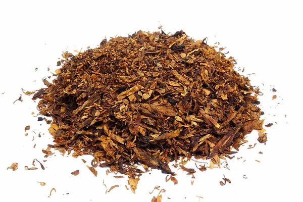 Tabaco Pipa Seca Nicotiana — Foto de Stock