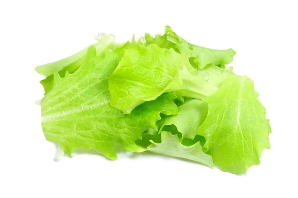 Insalatina Frisse Groene Italiaanse Salade — Stockfoto