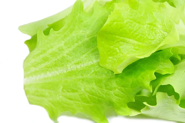 Insalatina Frisse Groene Italiaanse Salade — Stockfoto