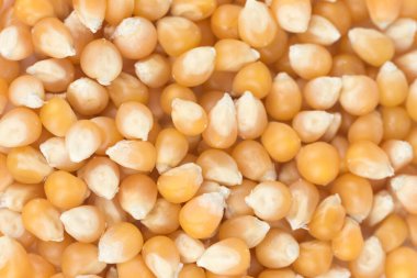 Kurutulmuş taze mısır tohumları