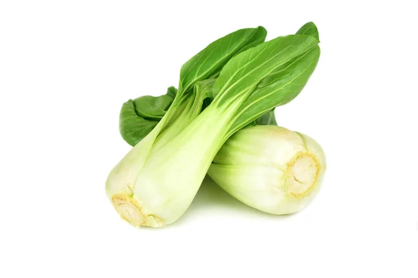 Pak Choi Repolho Bok Choy Repolho Chinês — Fotografia de Stock