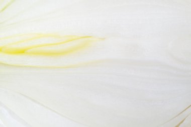 doku ampul soğan yakın çekim