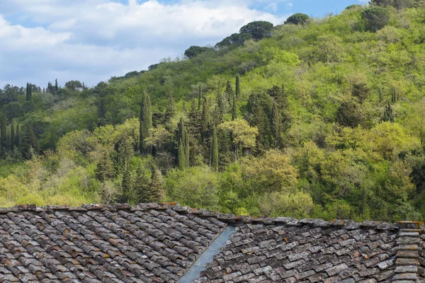 Utsikt över en grön kulle i Toscana — Stockfoto
