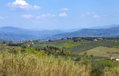Kırsal manzara in Chianti, İtalya