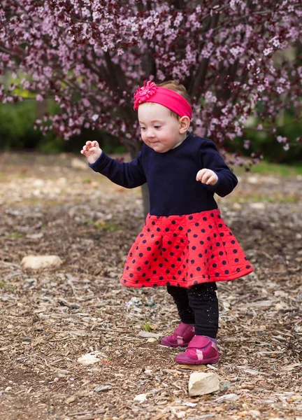 Adorable baby walking with care — Stock Photo, Image