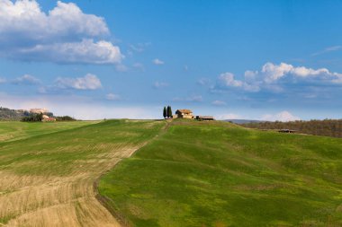 Yalnız tarım amoung yeşil alanları