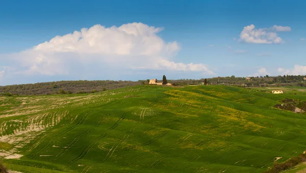 Collines vertes en Toscane — Photo