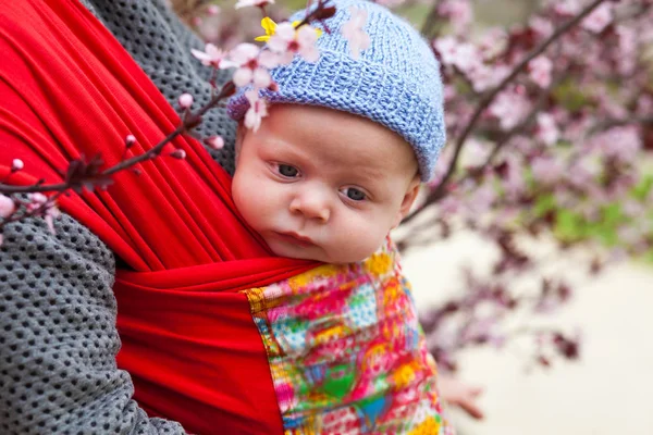 Baby carried in a sling scard in spring — Stock Photo, Image