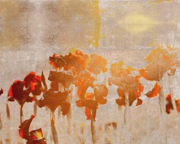 抽象的な花のシルエットとビンテージのポストカード — ストック写真