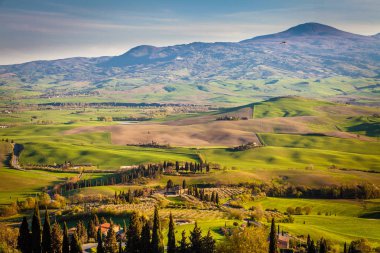 Tepeler ve Valdorcia alanlarında