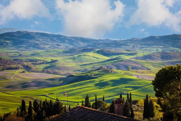 Típico paisaje montañoso del sur de Italia con cipreses — Foto de Stock