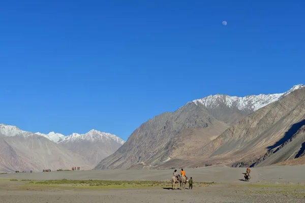 Valle de Nubra en Ladakh —  Fotos de Stock