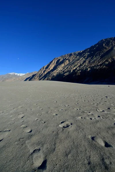 Eksplorowali dolinę w Ladakh — Zdjęcie stockowe