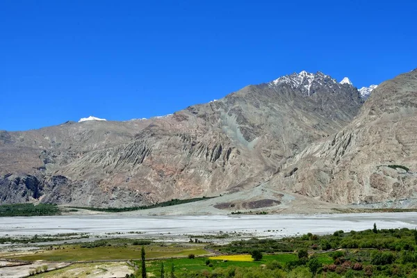 Ladakh'daki Nubra Vadisi — Stok fotoğraf