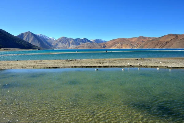Pangong-See in ladakh — Stockfoto