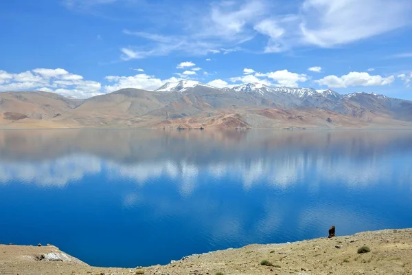 Lake Moriri in Ladakh — Stockfoto