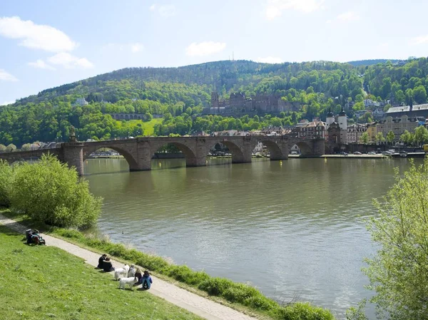 Heidelberg mit Alter Bruecke und Schloss — Stock fotografie