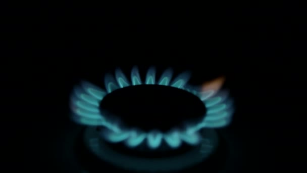 Quemadores de gas de cocina en la oscuridad — Vídeo de stock