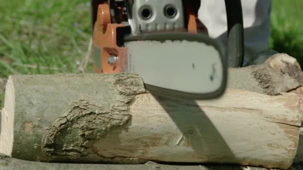 Red chainsaw sawn a timber — Stock Video