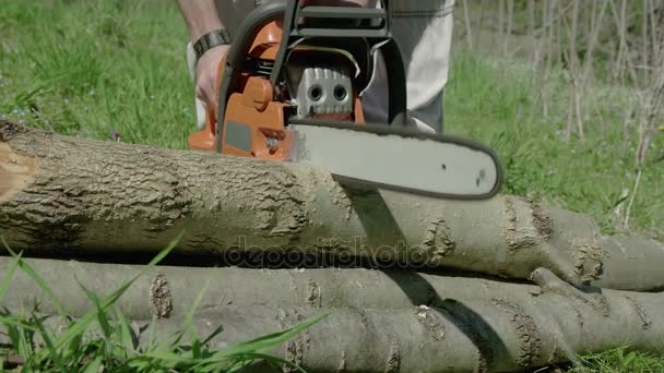 Red chainsaw sawn a timber — Stock Video