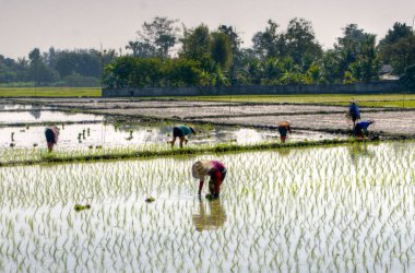 kaşık ölçme kümesi