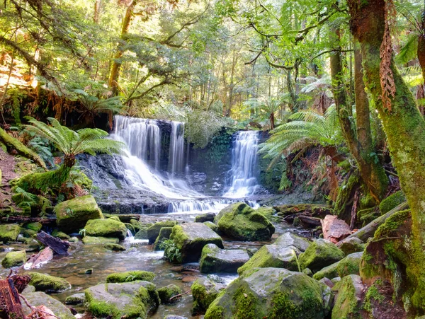 Russell Falls, Parco nazionale del Monte Campo Tasmania — Foto Stock