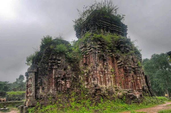 Ruins of My Son Sanctuary — Stock Photo, Image