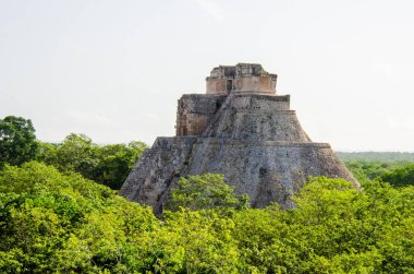 Uxmal Sihirbazının Maya Piramidi orman tepe örtüsünden çıkıyor.