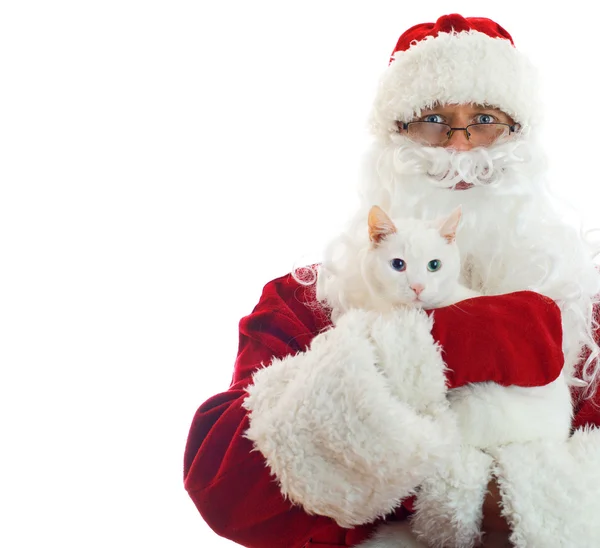Santa Claus gospodarstwa biały kot. Izolowany miejsce na białym tle — Zdjęcie stockowe