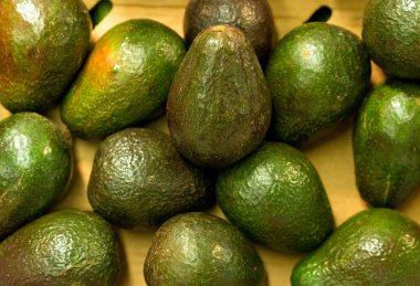 Süpermarkette parlak avokado bir sürü.