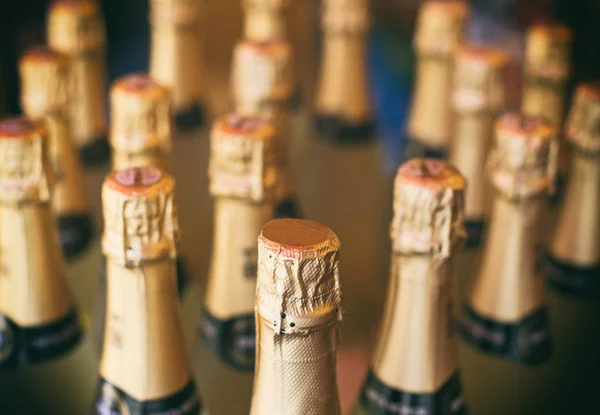 Champagne bottles in the wine store. — Stock Photo, Image