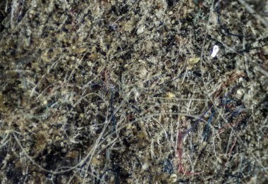The Microscopic World. Ordinary house dust under the microscope. clipart