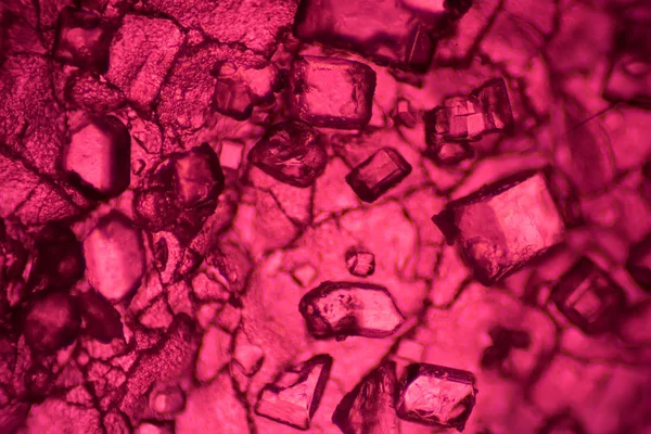 Μικροσκοπικό κόσμο. Ζελέ φρούτων κάτω από το μικροσκόπιο. — Φωτογραφία Αρχείου