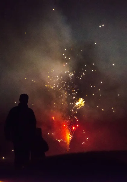 Família assistindo show fogos de artifício. Celebração do ano novo . — Fotografia de Stock