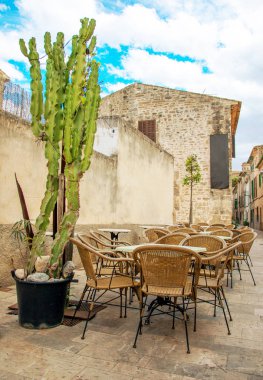 Kaktüs eski şehirde açık kafe.
