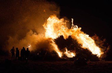 Birçok Noel ağaçlarının tatilinden sonra yanan.