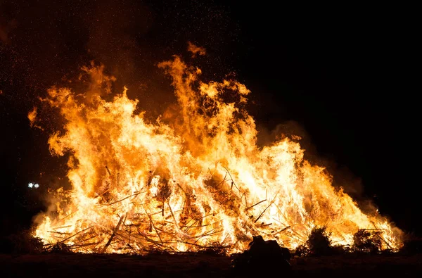 La quema de muchos árboles de Navidad después de las vacaciones . — Foto de Stock